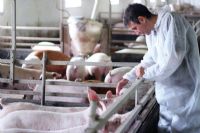 Les Éleveurs de porcs de l’Estrie offrent un don majeur aux organismes communautaires